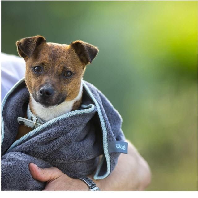 Henry Wag Microfibre Towel Small