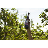 Henry Westons British Vintage Cider   500ml