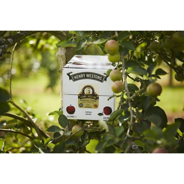 Henry Westons Vintage Bag in Box   10L