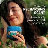 Herbal Essences Argan Oil Conditioner   250ml