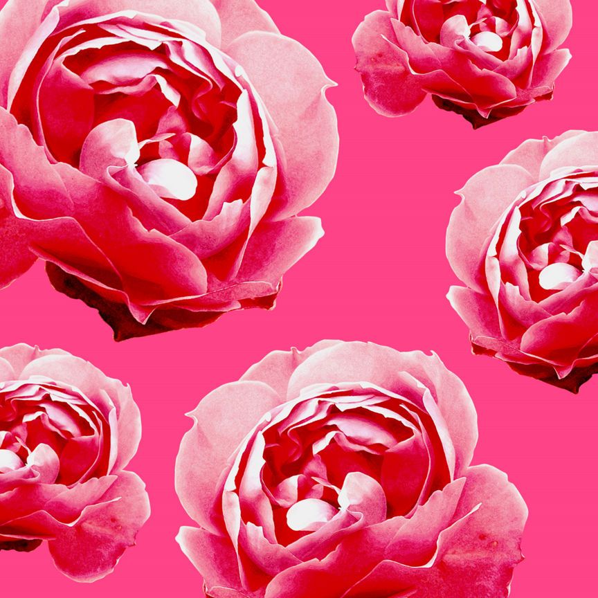 Herbal Essences Ignite My Colour Hair Conditioner For Coloured Hair