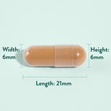 Holland &amp;amp; Barrett Astragalus 470mg 90 Capsules