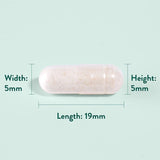 Holland &amp;amp; Barrett Ginger Root 240 Capsules