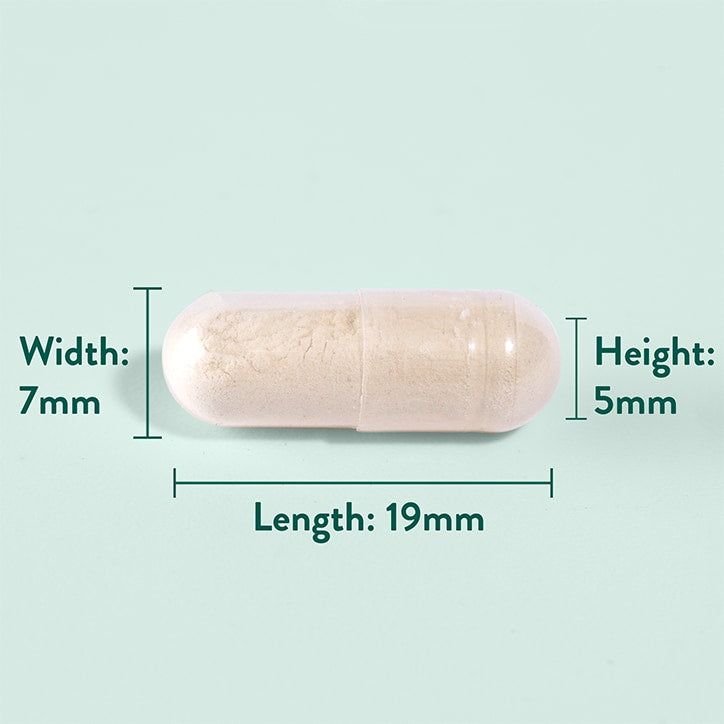 Holland &amp;amp; Barrett Green Lipped Mussel 120 Capsules