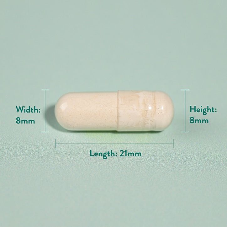 Holland &amp;amp; Barrett Gut Powered 100 Billion 30 Capsules