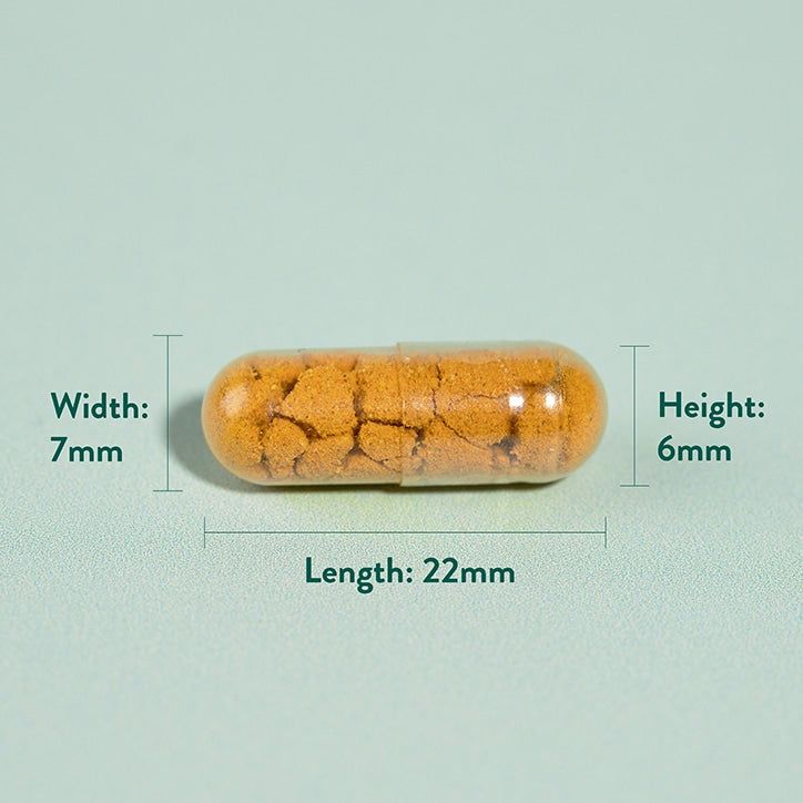 Holland &amp;amp; Barrett High Strength Turmeric 600mg plus Boswellia &amp;amp; Ginger 90 Capsules