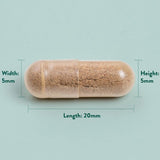 Holland &amp;amp; Barrett Maximum Strength Ginkgo Biloba 120mg 100 Capsules