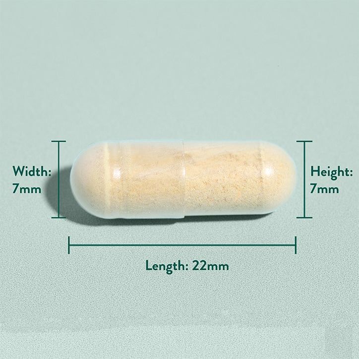 Holland &amp;amp; Barrett Milk Thistle 100mg 30 Capsules