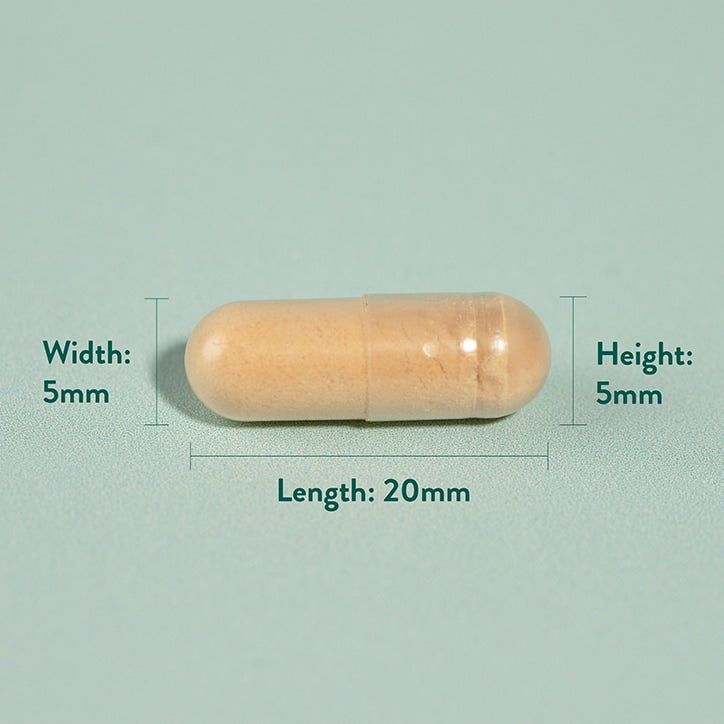 Holland &amp;amp; Barrett Milk Thistle 100mg 60 Capsules