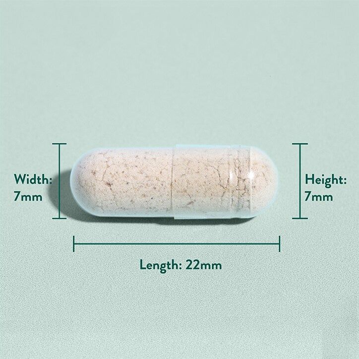 Holland &amp;amp; Barrett Psyllium Husk 180 Capsules