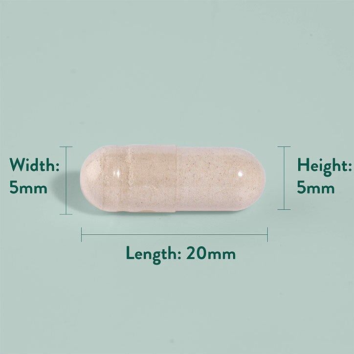 Holland &amp;amp; Barrett Red Clover Extract 100 Capsules