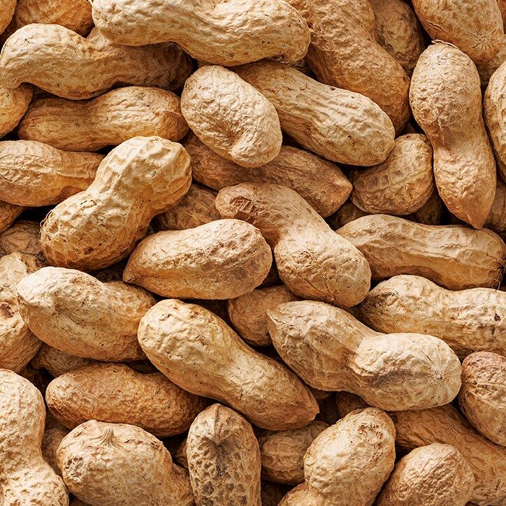 Holland &amp;amp; Barrett Roasted Monkey Nuts 300g