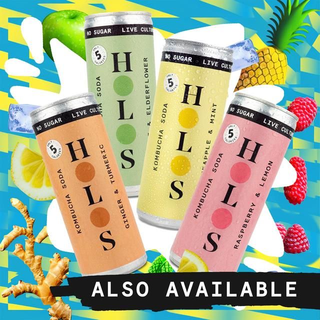 HOLOS Kombucha Soda Ginger &amp;amp; Turmeric   250ml