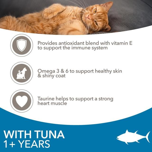 IAMS 1+ Years Adult Dry Cat Food Tuna   3kg