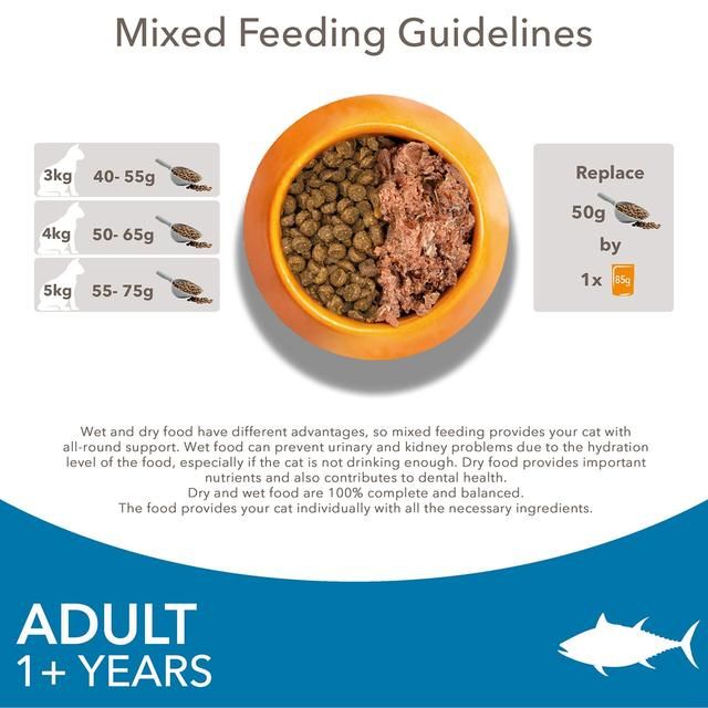 IAMS 1+ Years Adult Dry Cat Food Tuna   3kg