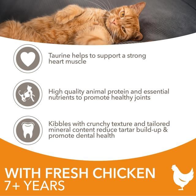 IAMS 7+ Years Senior Dry Cat Food Chicken   3kg