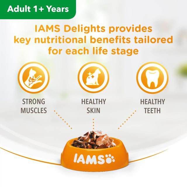 Iams Delights Adult Land &amp;amp; Sea Collection in Gravy Multipack   48 x 85g