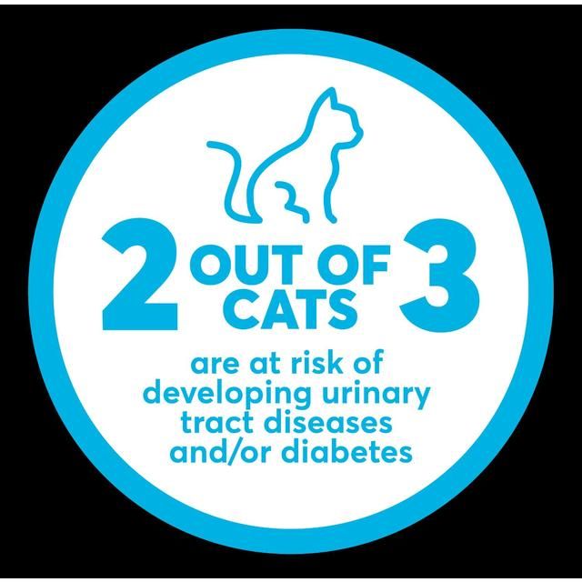 Intersand OdourLock maxCare Detects Urinary Disease &amp;amp; Diabetes    12kg