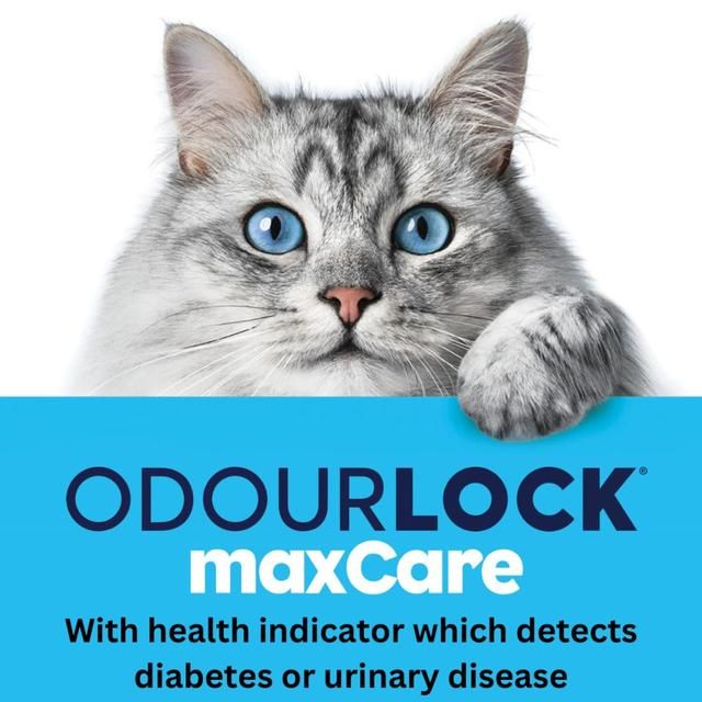 Intersand OdourLock maxCare Detects Urinary Disease &amp;amp; Diabetes    12kg