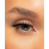 Invogue Lash Trending