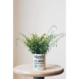 Islands Chocolate 37% White Chocolate Buttons   200g