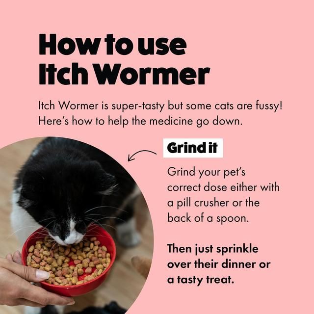 Itch Wormer Tablets For Cats (1kg +)   2 per pack