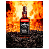 Jack Daniel's Family of Brands Miniatures Pack   3 x 5cl