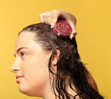 Jason and the Argan Oil Shampoo Bar