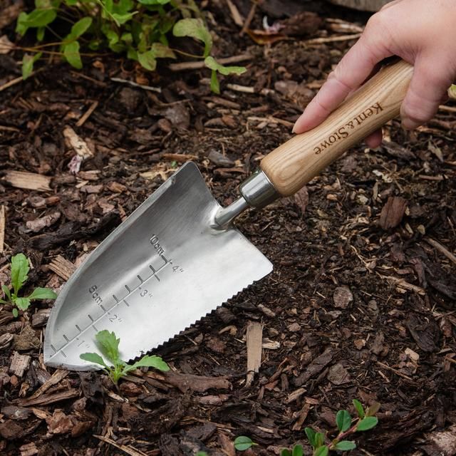Kent &amp;amp; Stowe Stainless Steel The Capability Trowel FSC