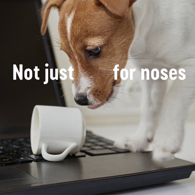 Kleenex The Original Facial Tissues - Twin Box   2 x 64 per pack