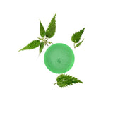 Klorane Purifying Shampoo with Organic Nettle for Oily Hair   200ml