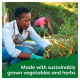 Knorr 8 Vegetable Stock Cubes   8 x 10g