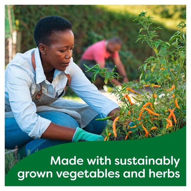 Knorr 8 Vegetable Stock Pot    8 x 28g