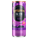 Kopparberg Mixed Fruit Gin &amp;amp; Lemonade   250ml