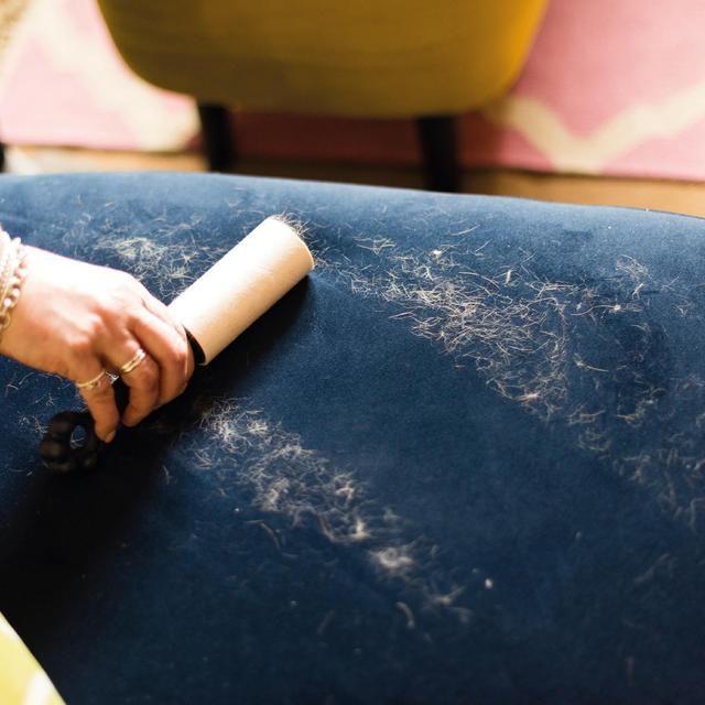 Korbond Pet Hair Roller Refill Twin Pack - 132 sheets   132 per pack