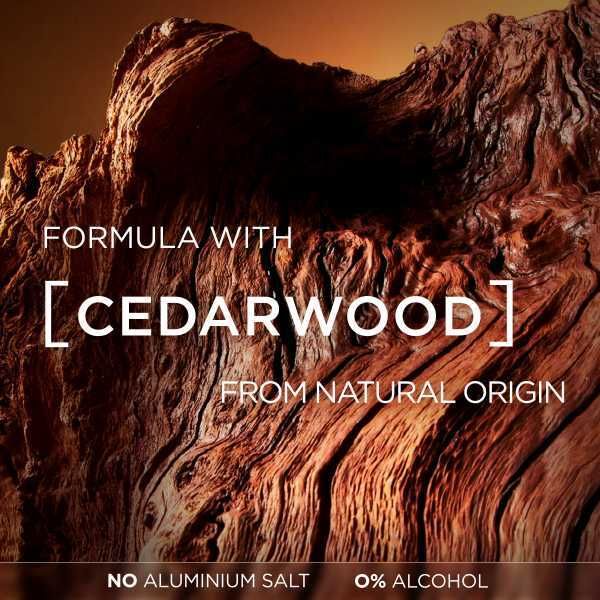 L'oreal Men Expert Barberclub Roll On Deodorant 50Ml