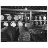 Lagavulin 16 Year Old Single Malt Scotch Whisky   70cl