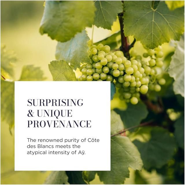 Lallier Champagne Blanc De Blancs   75cl