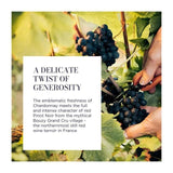 Lallier Champagne Grand Rose   75cl