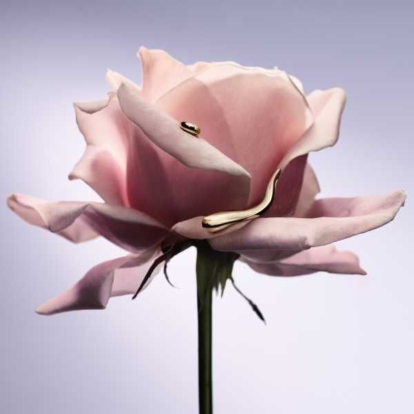 Lancome La Vie Est Belle Gold Extrait EDP 30ml