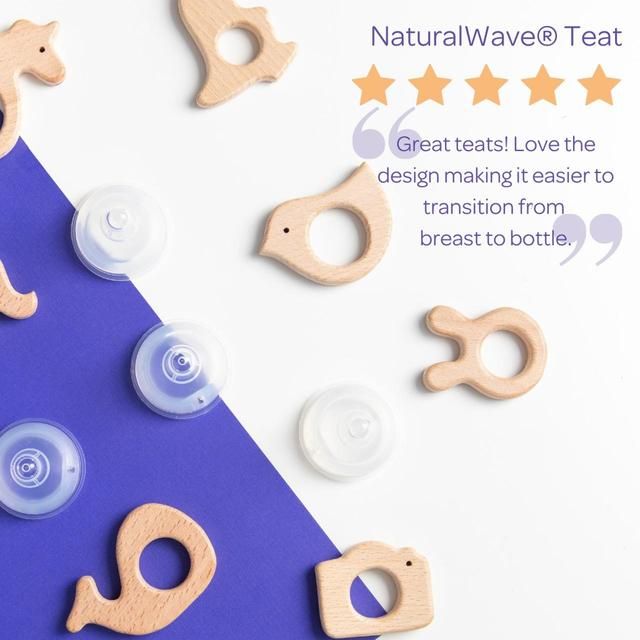 Lansinoh Silicone Bottle Teats Fast Flow   2 per pack