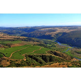 Leyda Pinot Noir Reserva   75cl