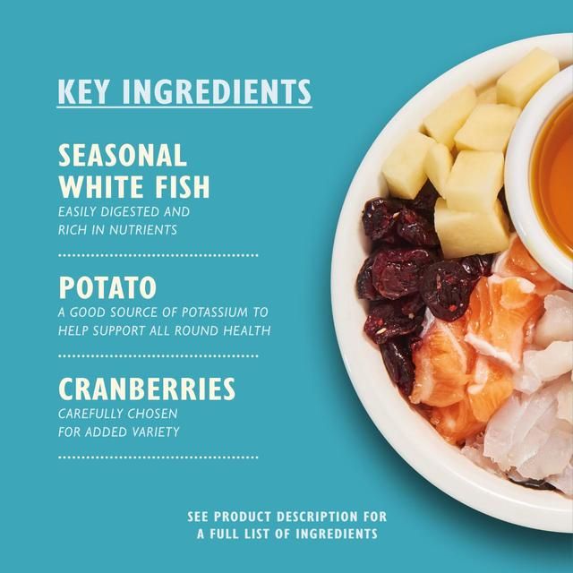 Lily's Kitchen Cat Fisherman's Feast White Fish with Salmon Dry Food   800g