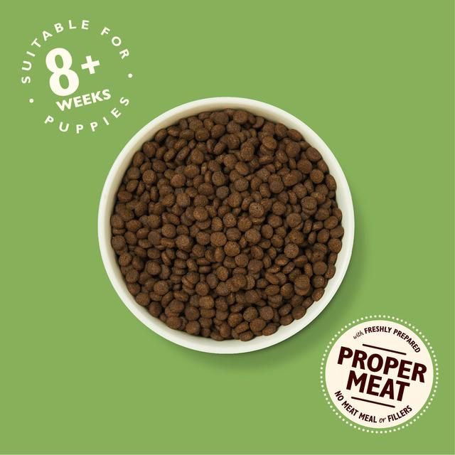 Lily's Kitchen Dog Chicken &amp;amp; Salmon Puppy Recipe Dry Food   1kg