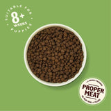 Lily's Kitchen Dog Chicken &amp;amp; Salmon Puppy Recipe Dry Food   1kg