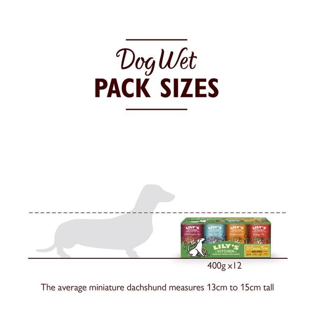 Lily's Kitchen Grain Free Recipes for Dogs Multipack   12 x 400g