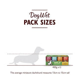 Lily's Kitchen Grain Free Recipes for Dogs Multipack   12 x 400g