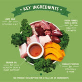 Lily's Kitchen Puppy Tin Multipack   6 x 400g