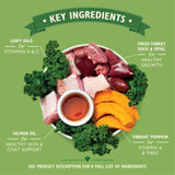 Lily's Kitchen Turkey &amp;amp; Duck Wet Food for Puppies   400g