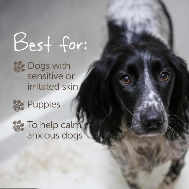 Little Beast Organic Sensitive Dog Shampoo Bar   100g